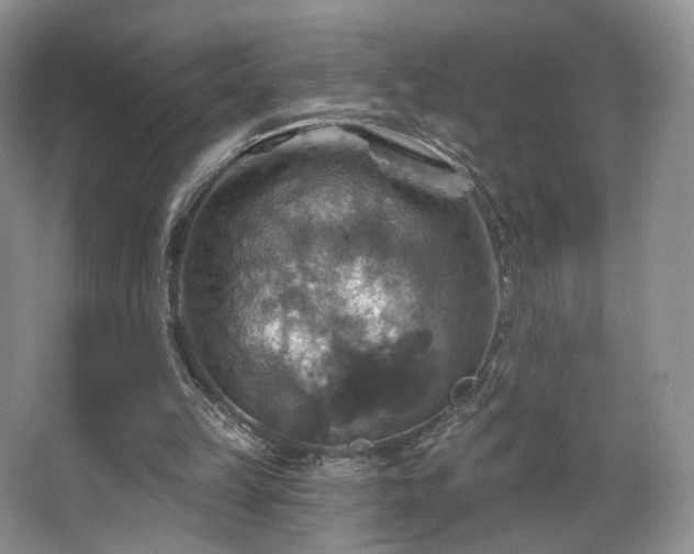 X0000067840149200604171202