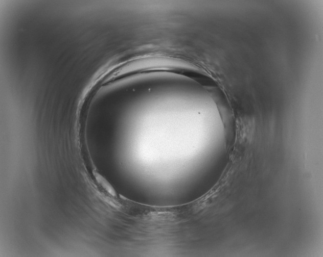 X0000067840150200604171202