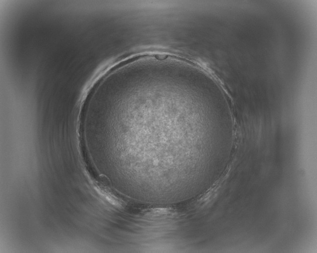 X0000067840151200604171202