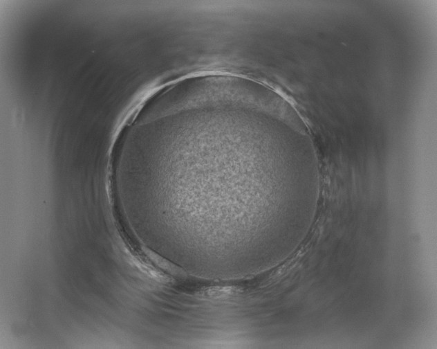 X0000067840152200604171202