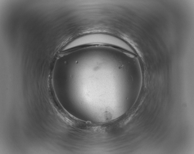 X0000067840153200604171202