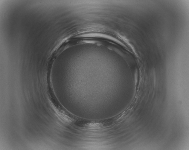 X0000067840154200604171202