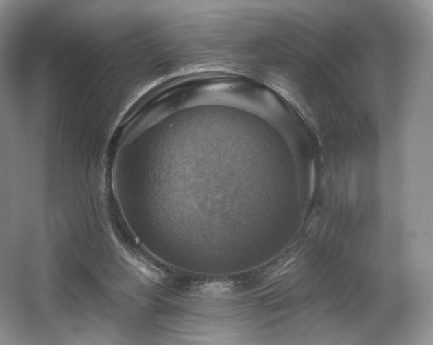 X0000067840156200604171202