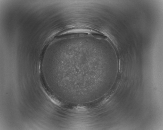 X0000067840157200604171202