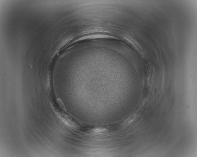 X0000067840158200604171202