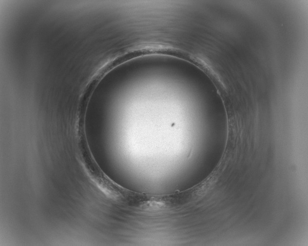 X0000067840159200604171202