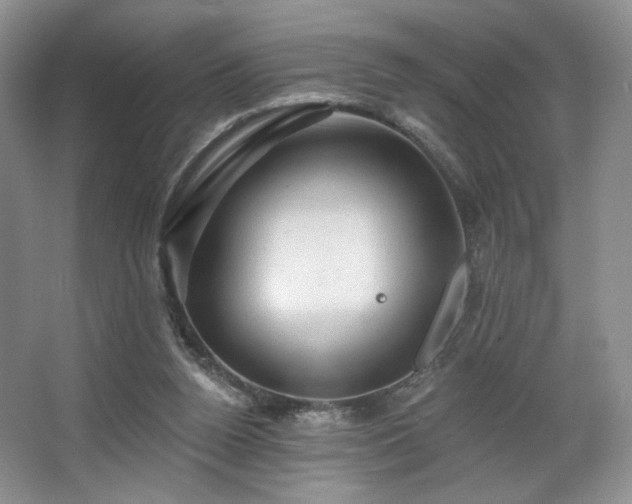 X0000067840160200604171202