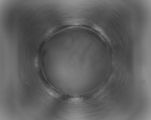 X0000067840161200604171202