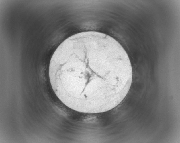 X0000067840162200604171202