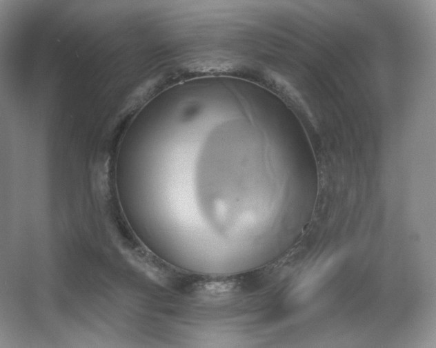 X0000067840163200604171202