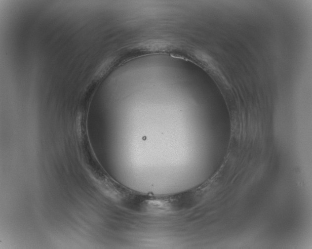 X0000067840167200604171202