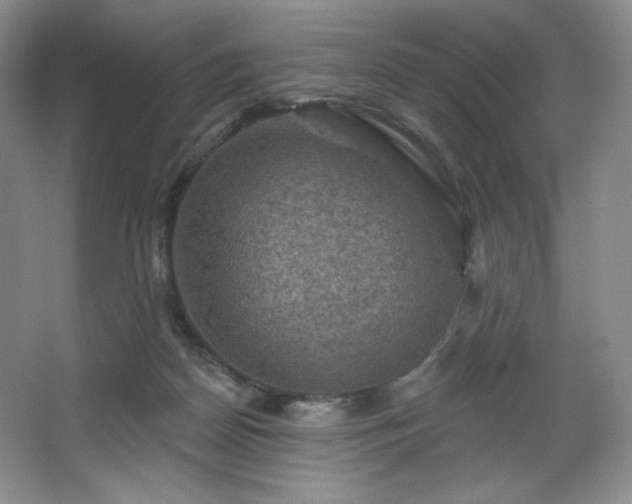 X0000067840170200604171202