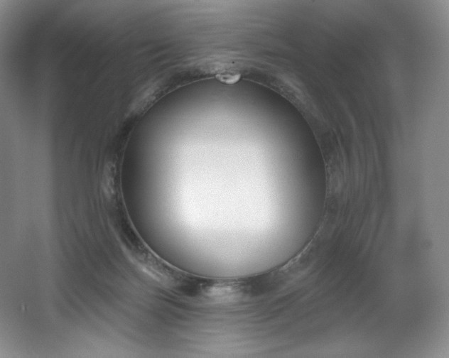 X0000067840171200604171202