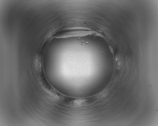 X0000067840172200604171202