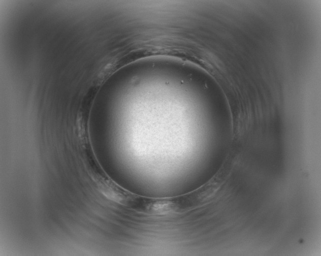 X0000067840173200604171202