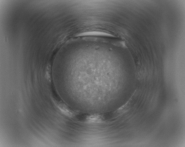 X0000067840175200604171202