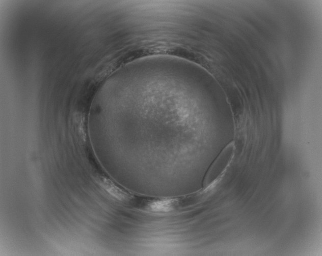 X0000067840178200604171202