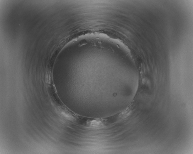 X0000067840180200604171202