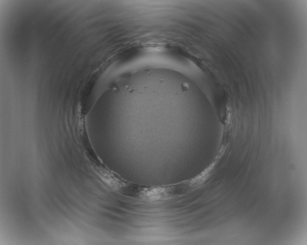 X0000067840186200604171202