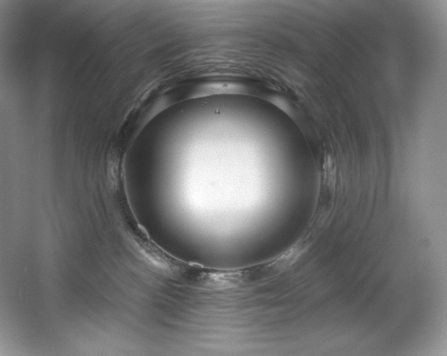 X0000067840188200604171202