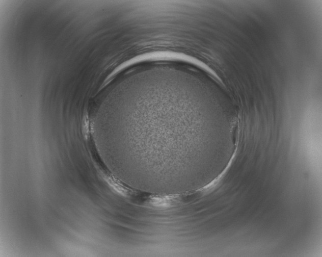 X0000067840190200604171202