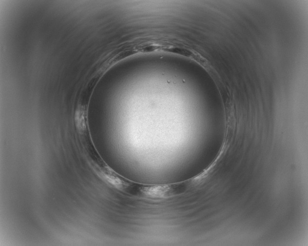 X0000067840191200604171202