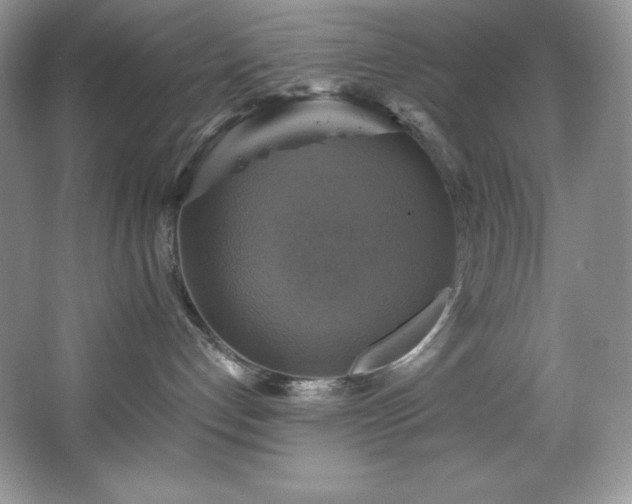 X0000067840192200604171202