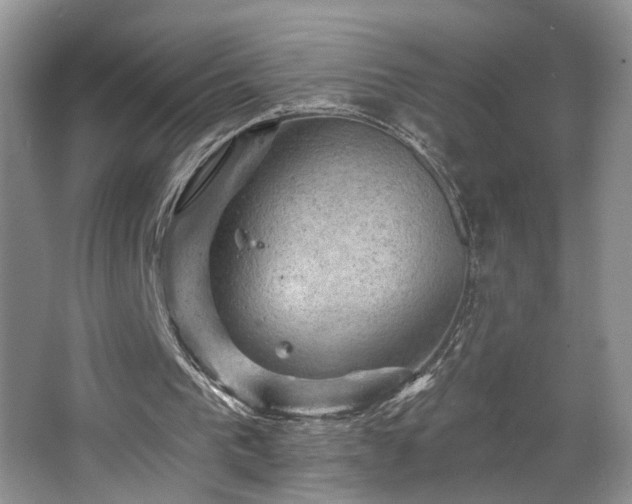 X0000067840193200604171201