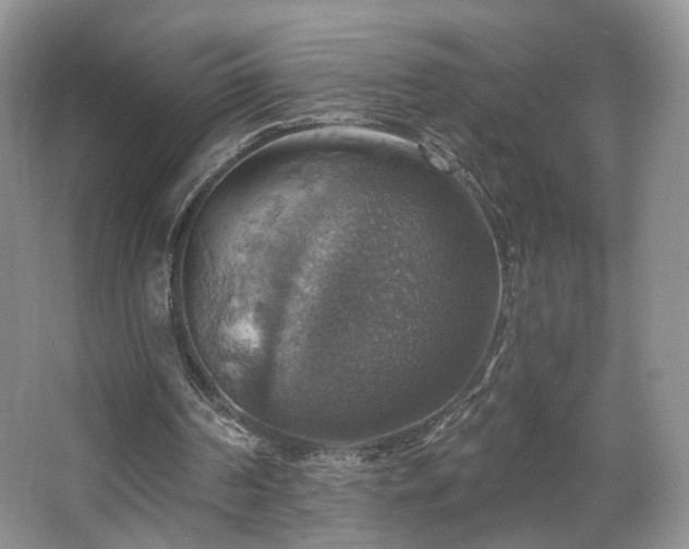 X0000067840194200604171201