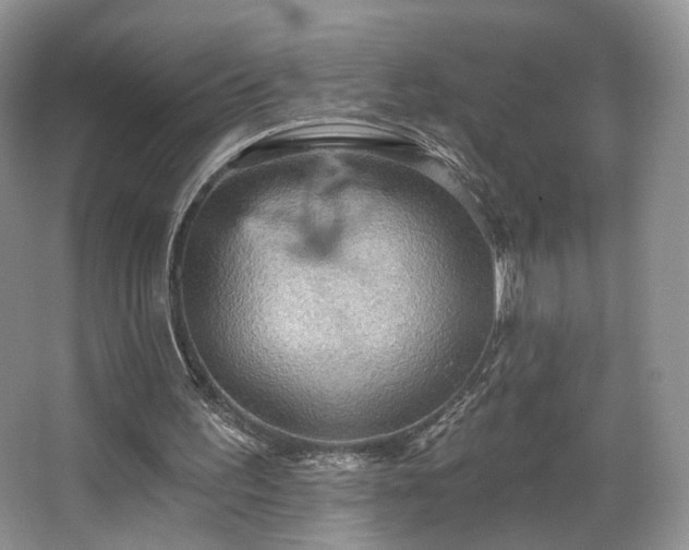 X0000067840195200604171201