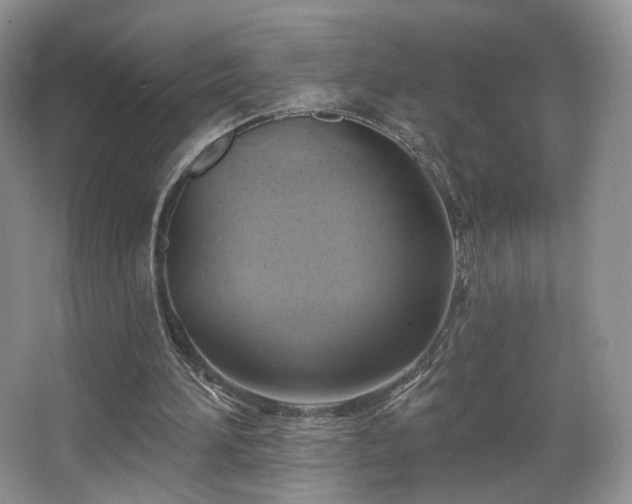 X0000067840196200604171201