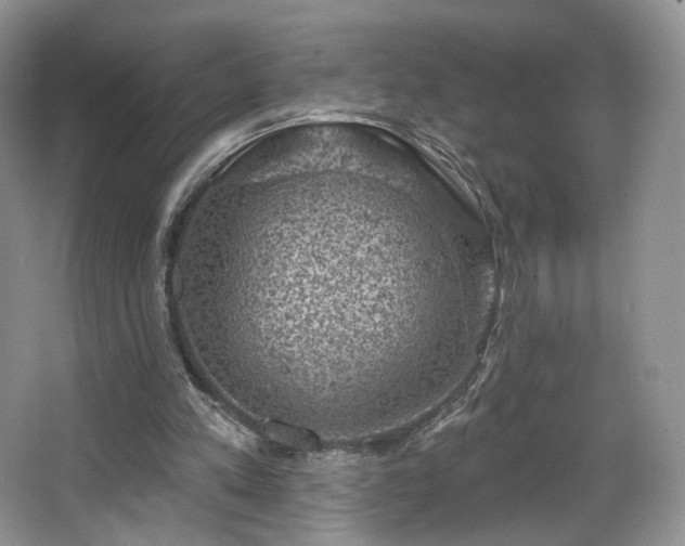 X0000067840197200604171201