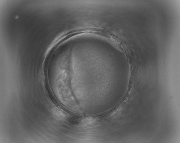 X0000067840198200604171201