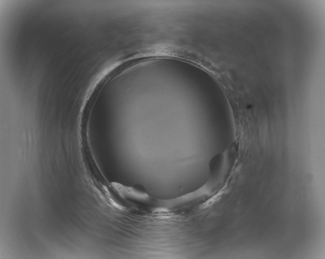 X0000067840200200604171201