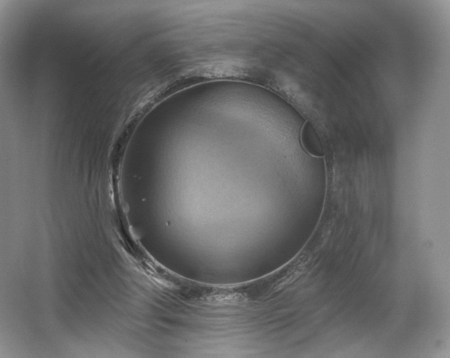 X0000067840202200604171201