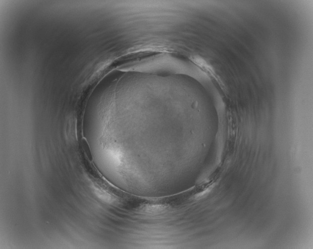 X0000067840205200604171201