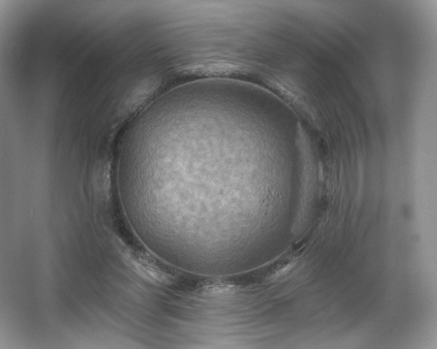 X0000067840206200604171201