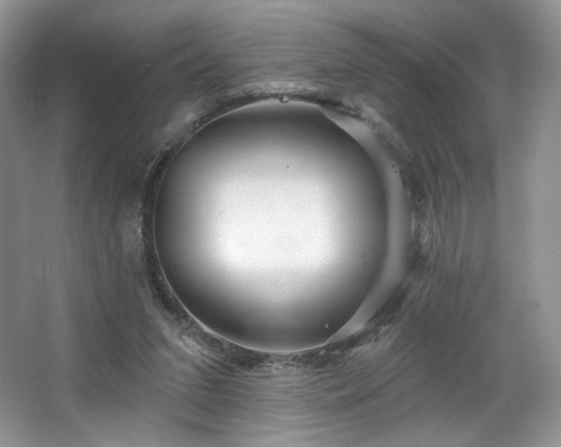 X0000067840207200604171201