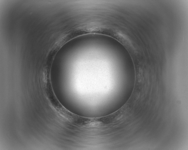 X0000067840210200604171201