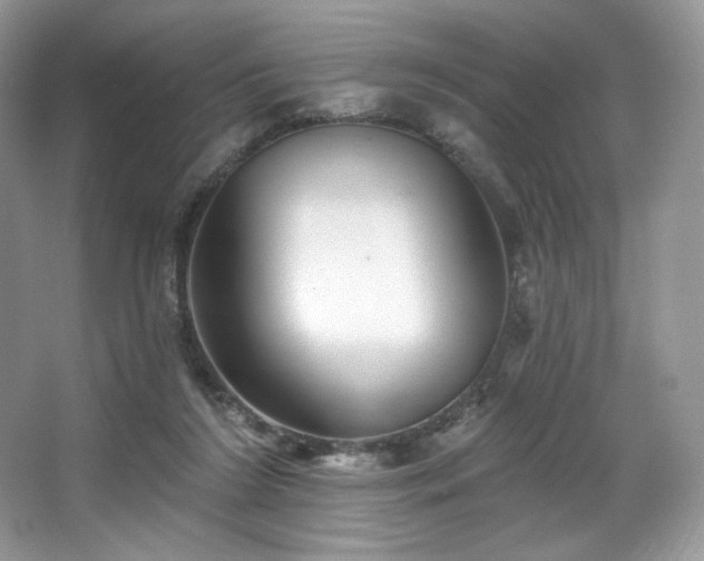 X0000067840212200604171201