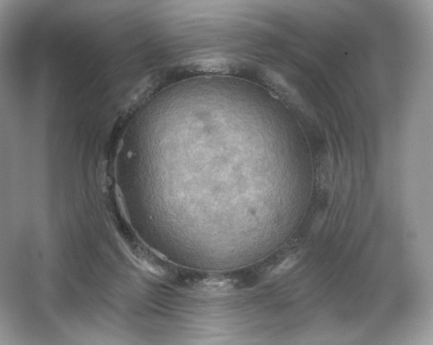 X0000067840213200604171201