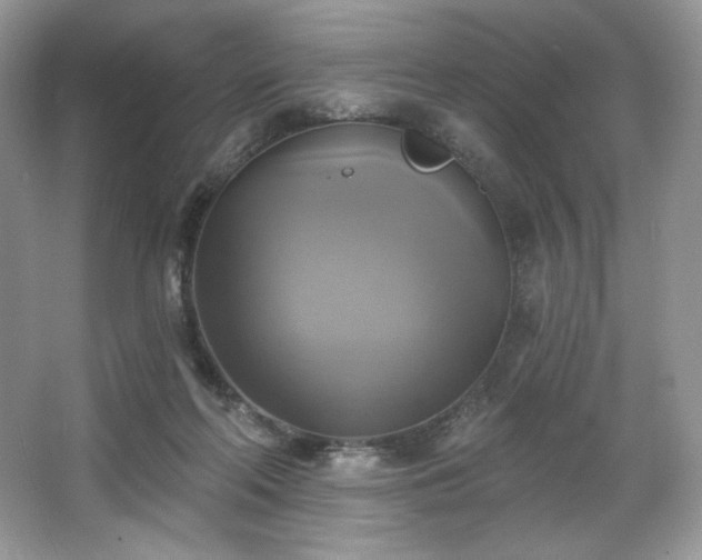 X0000067840214200604171201