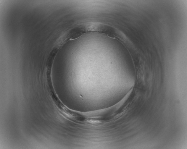 X0000067840217200604171201