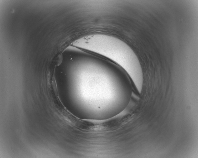 X0000067840219200604171201