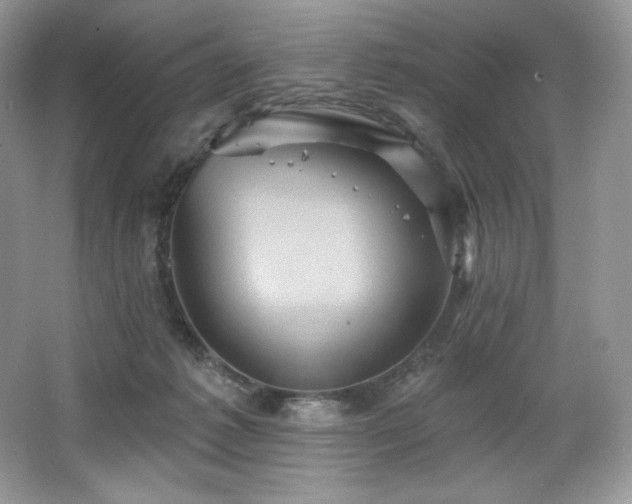 X0000067840221200604171201