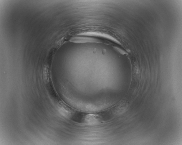 X0000067840222200604171201