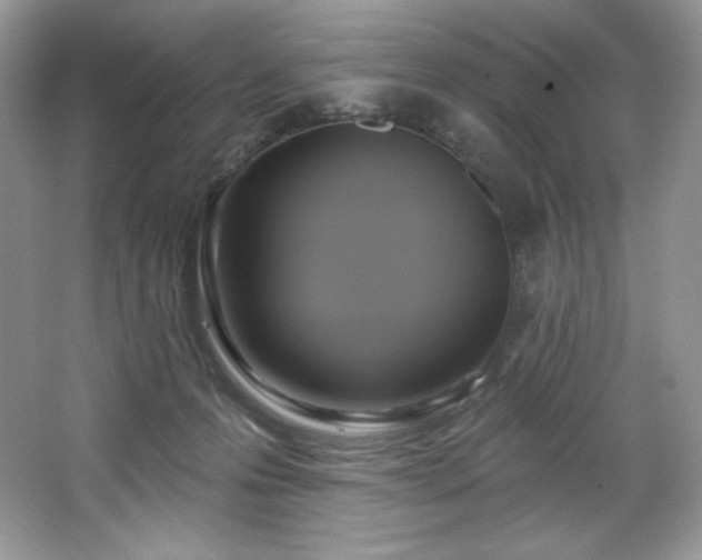 X0000067840223200604171201