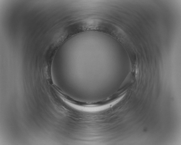 X0000067840224200604171201