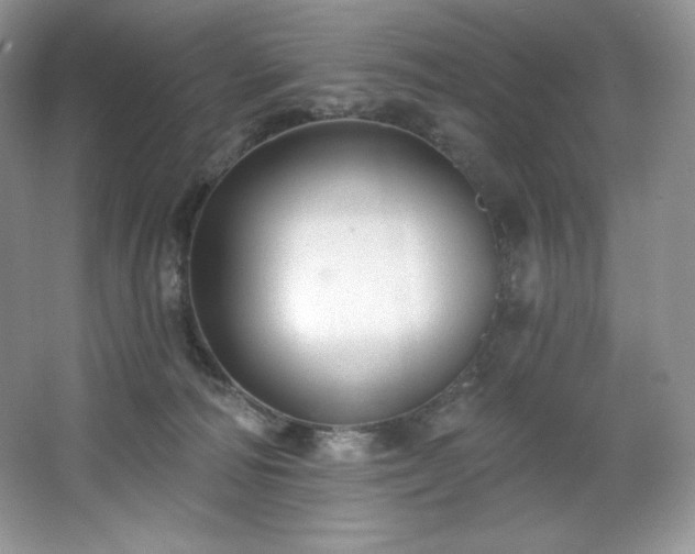 X0000067840226200604171201