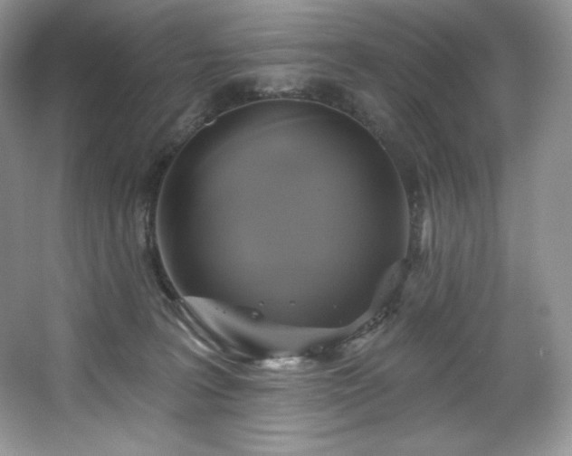 X0000067840227200604171201